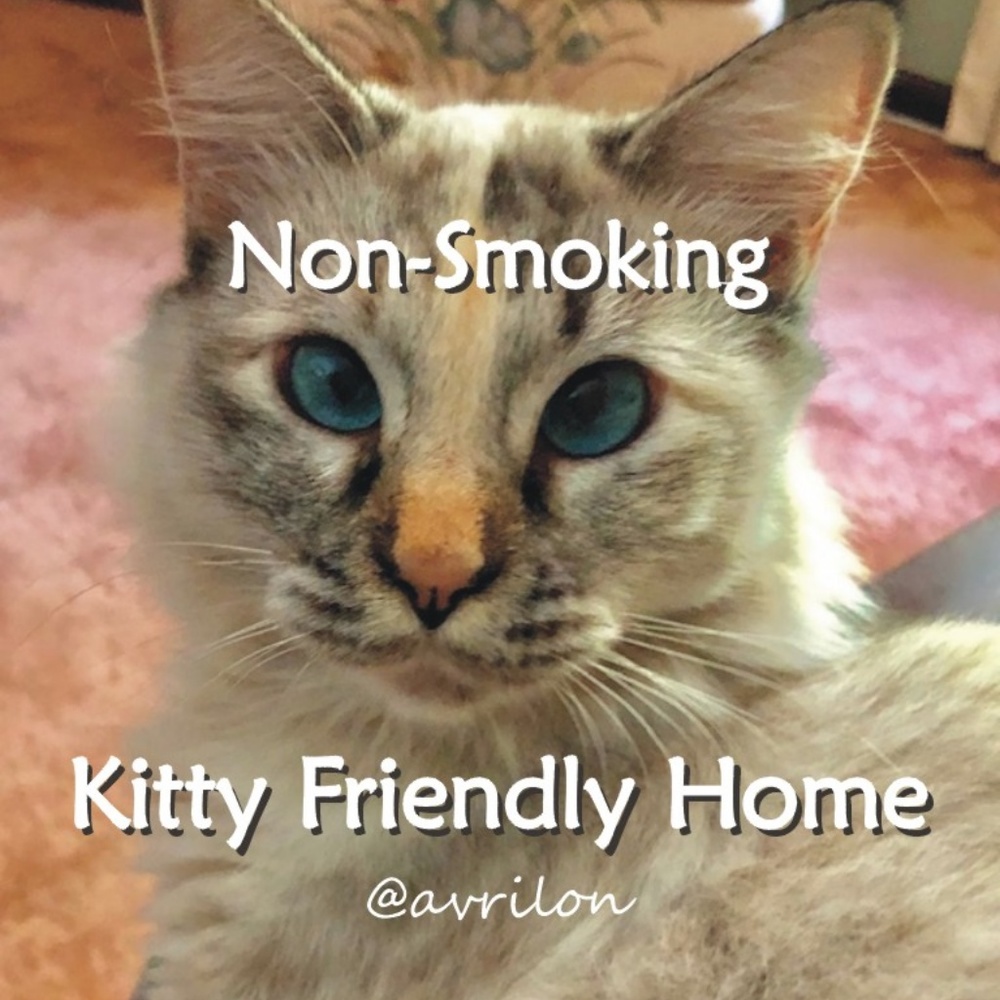 Cat Friendly Home